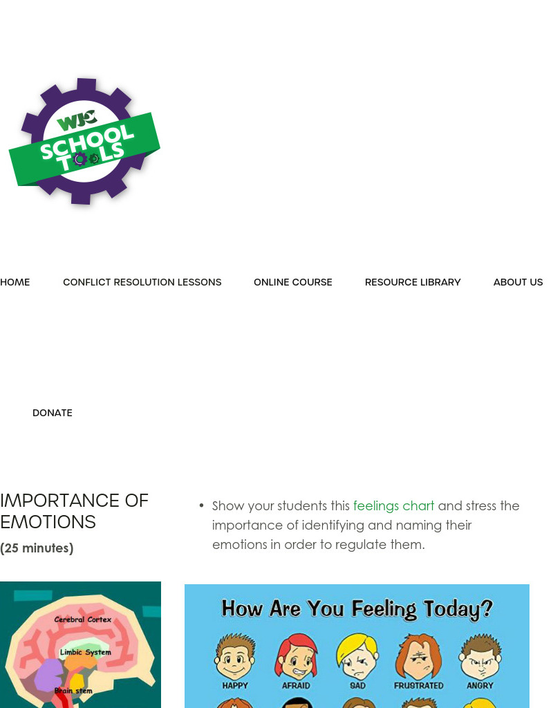 Emotions, Regulation Strategies Lesson Plan