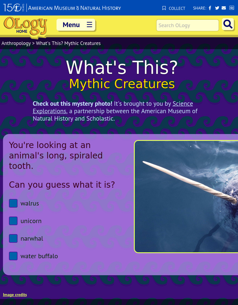 What's This?: Mythic Creatures Interactive
