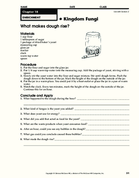 Kingdom Fungi Worksheet