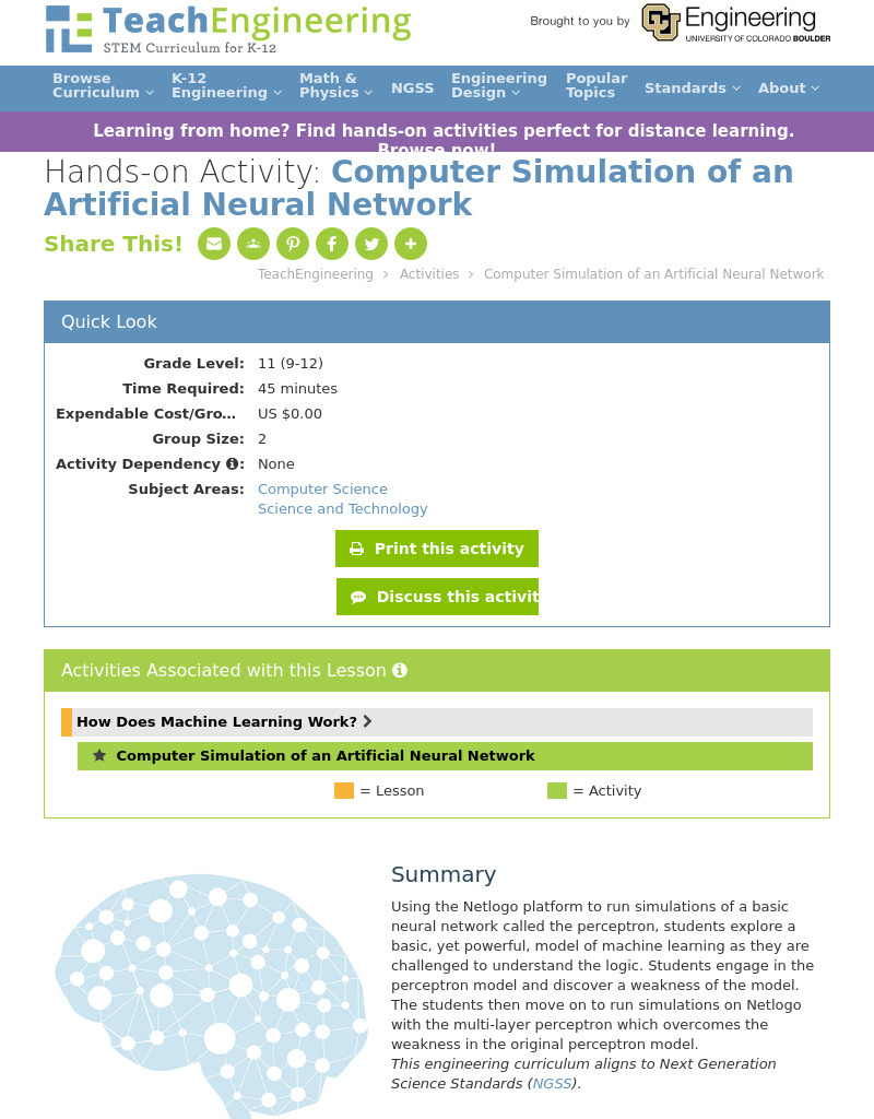 Computer Simulation of an Artificial Neural Network Activity