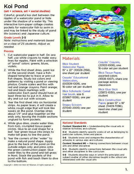 Koi Pond Lesson Plan