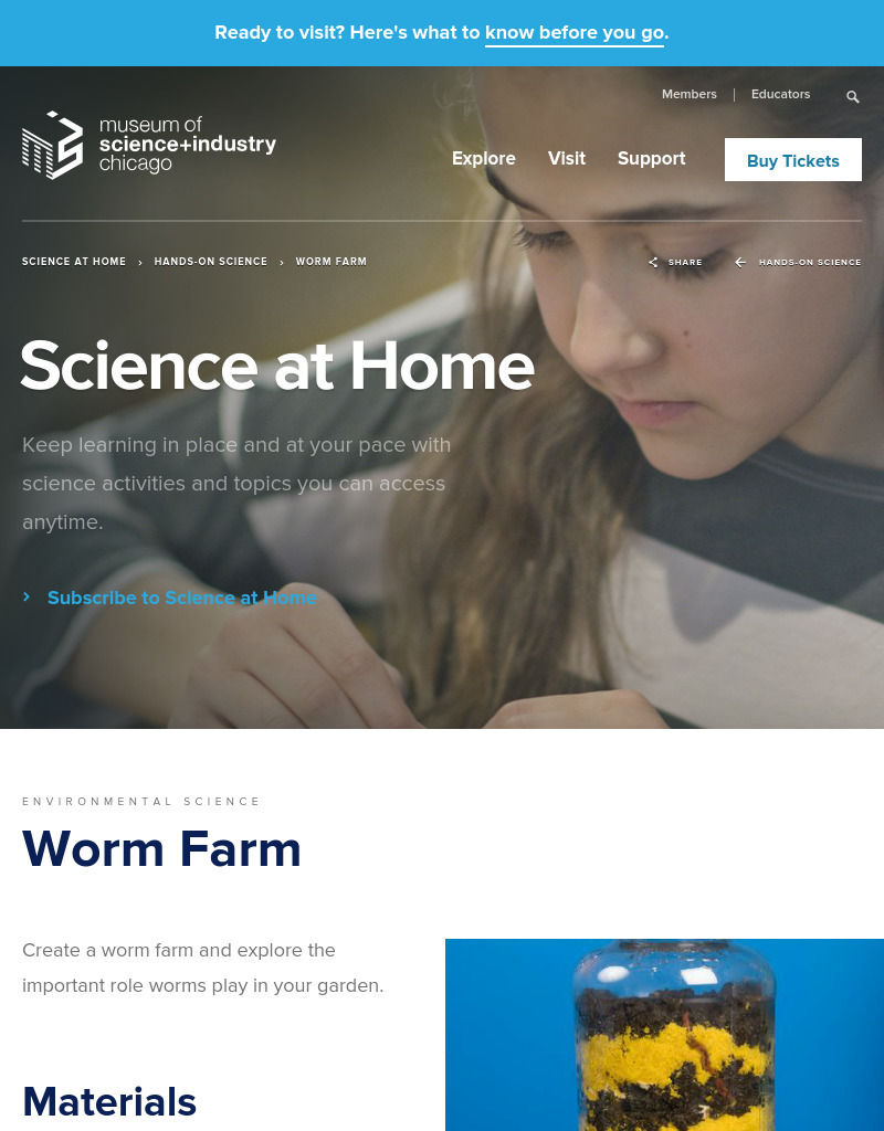 Worm Farm Activity