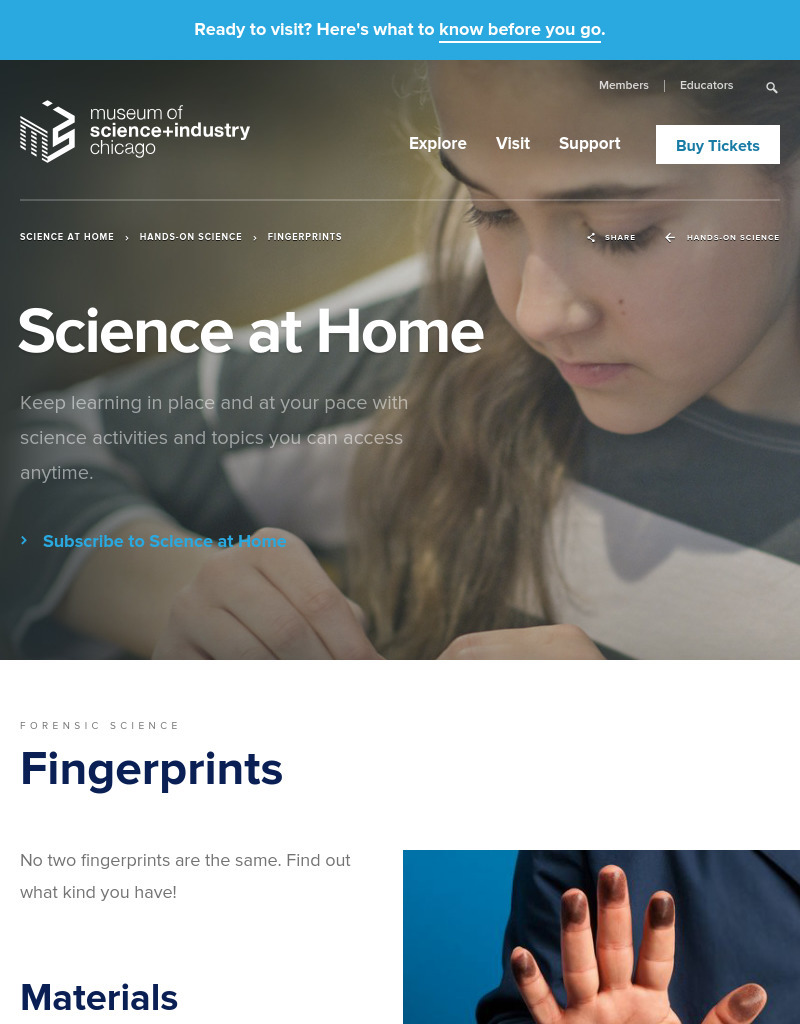 Fingerprints Activity