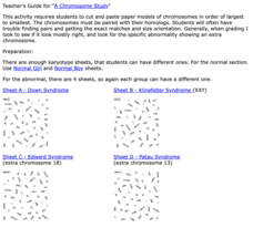 A Chromosome Study Activity