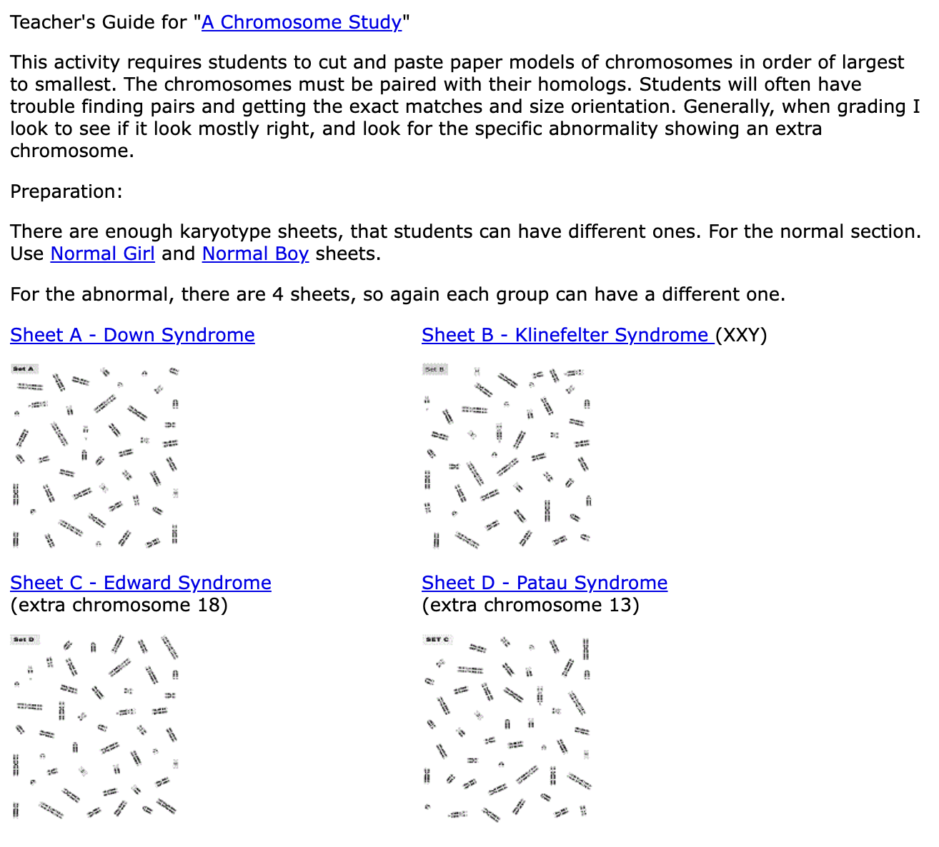 A Chromosome Study Activity
