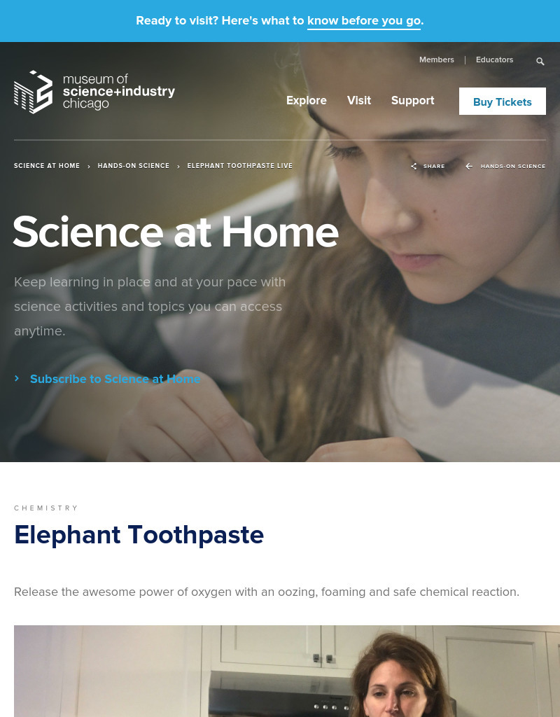 Elephant Toothpaste Activity