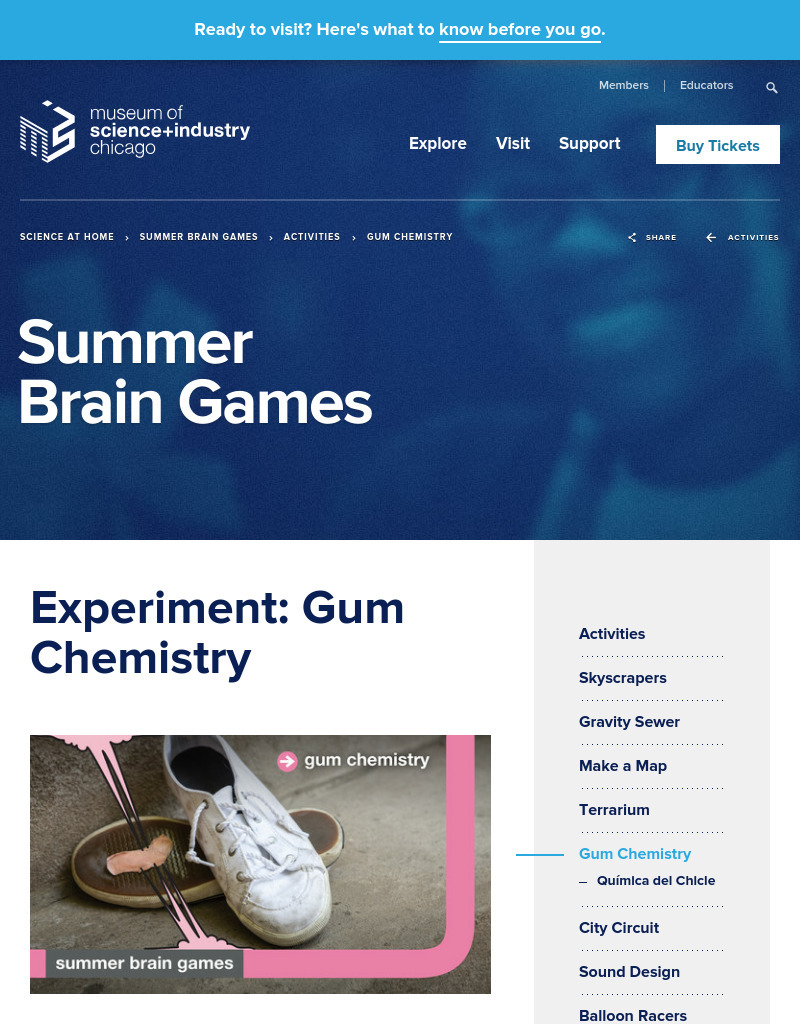 Gum Chemistry Activity