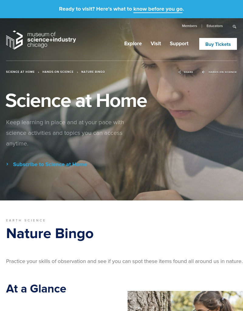 Nature Bingo Activity