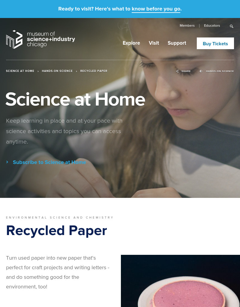 Recycled Paper Activity