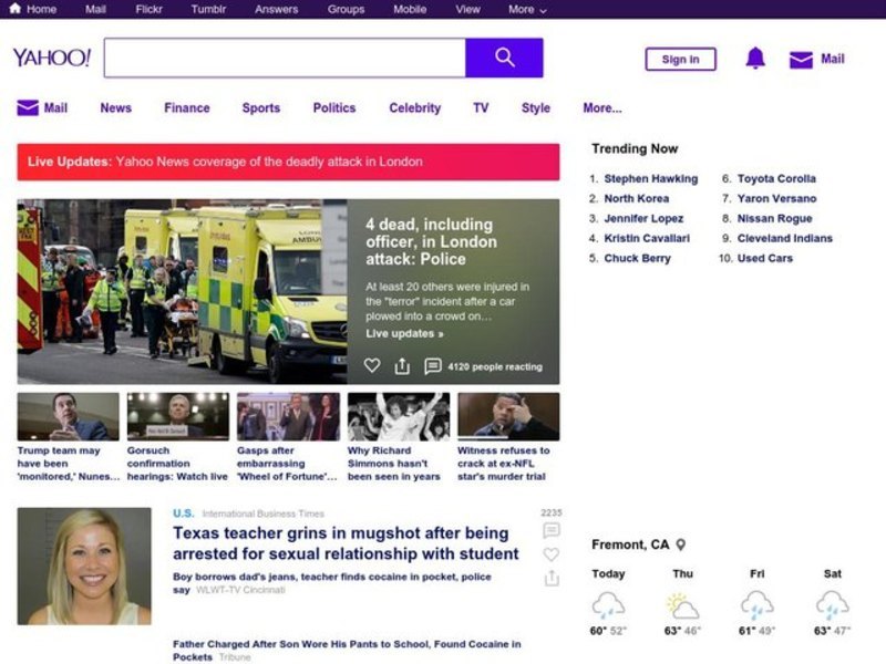 Ladybugs Lesson Plan