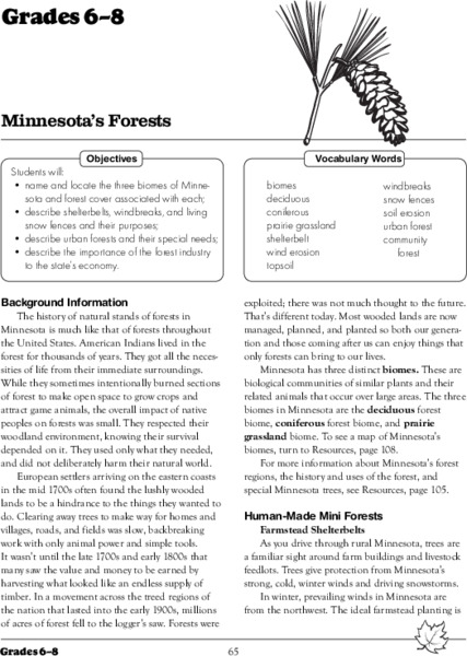 Minnesota’s Forests Lesson Plan