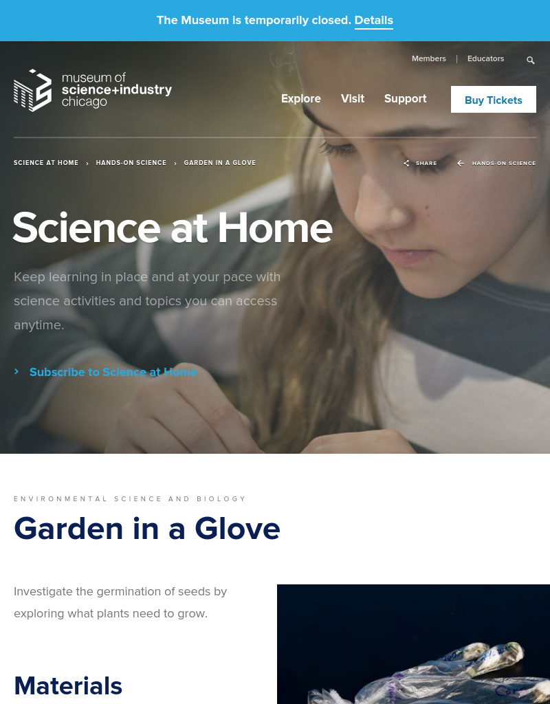 Garden in a Glove Activity