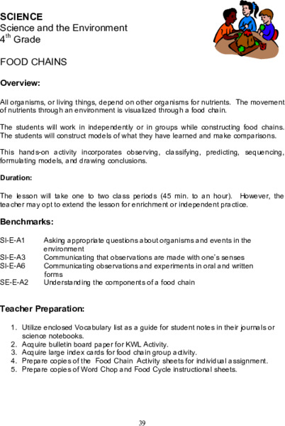 Food Chains Lesson Plan