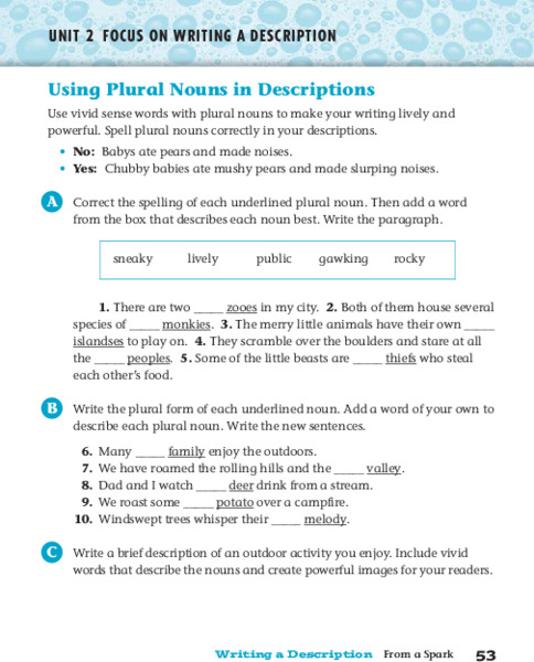 Using Plural Nouns in Descriptions Worksheet