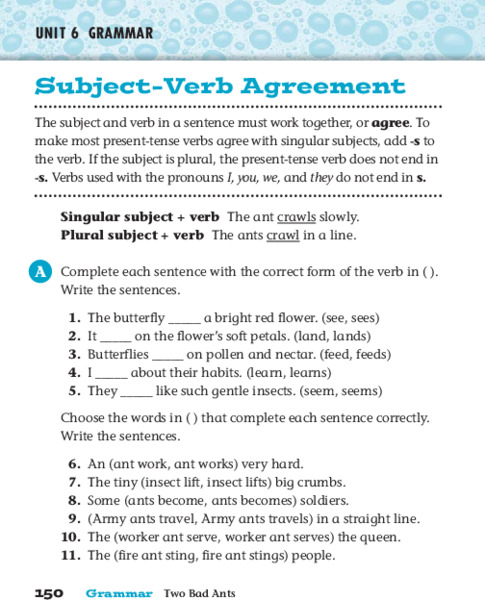 Subject-Verb Agreement Worksheet