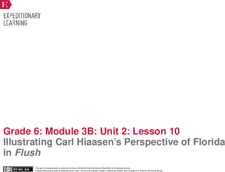 Illustrating Carl Hiaasen’s Perspective of Florida in Flush Lesson Plan