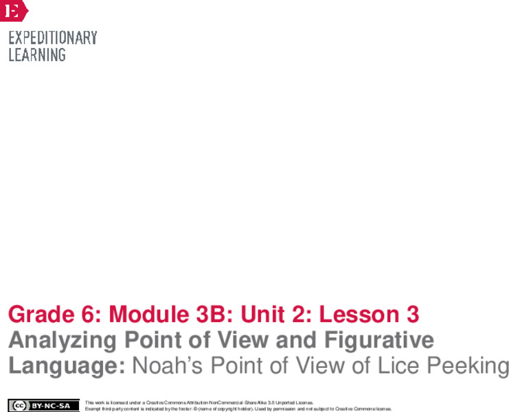 Analyzing Point of View and Figurative Language: Noah’s Point of View of Lice Peeking Lesson Plan