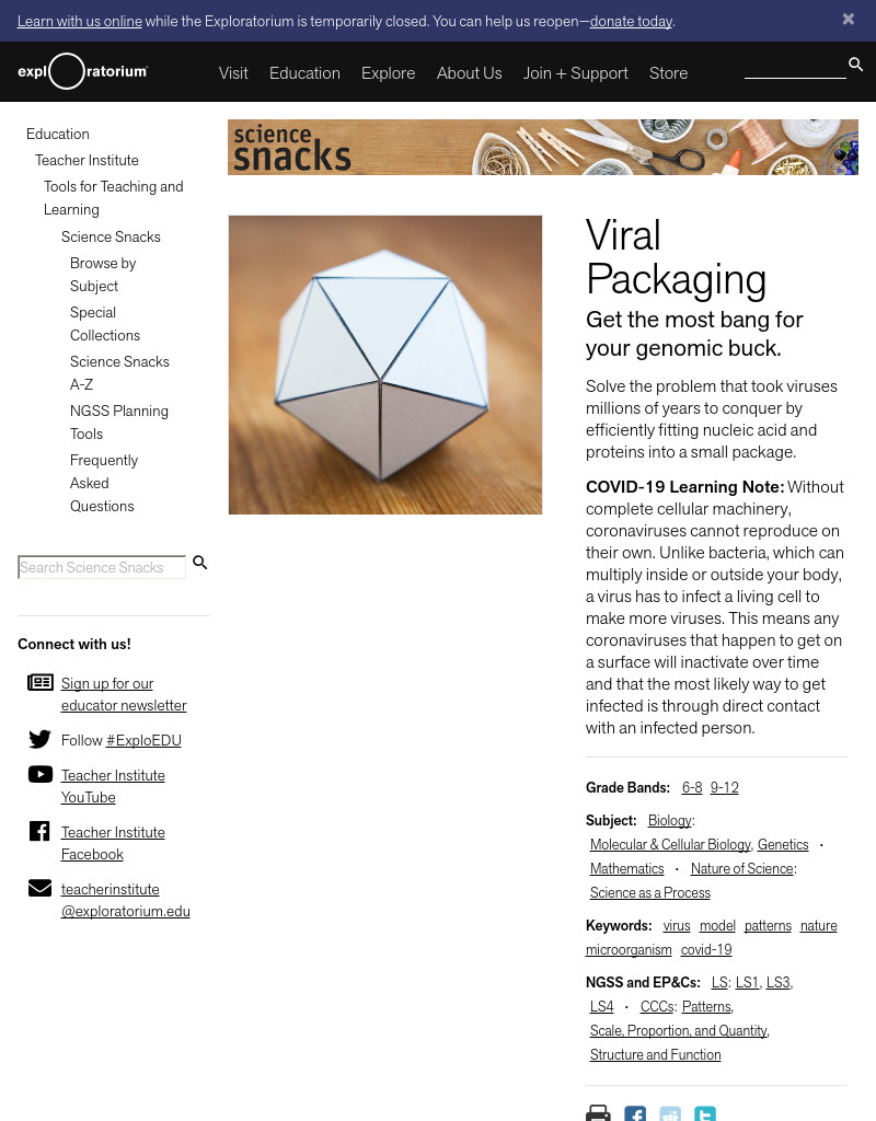 Viral Packaging Activity