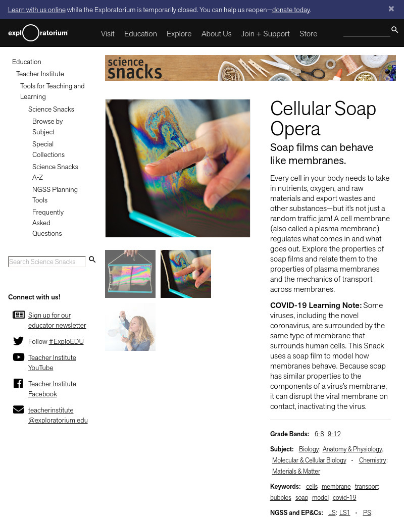 Cellular Soap Opera - Soap Films Can Behave Like Membranes Activity