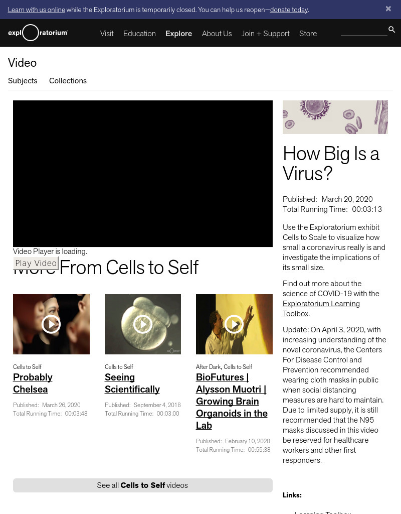 How Big Is a Virus? Instructional Video