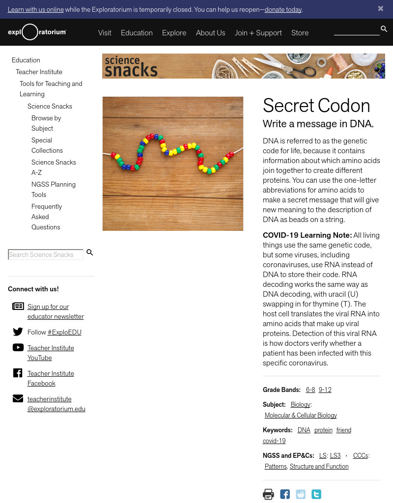 Secret Codon - Write a Message in DNA Activity
