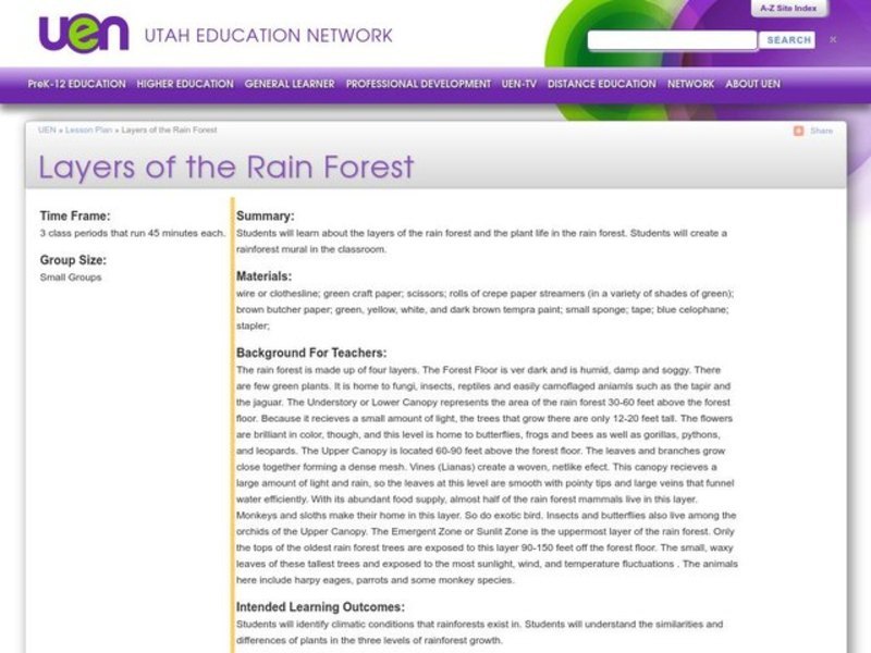 Layers of the Rainforest Lesson Plan