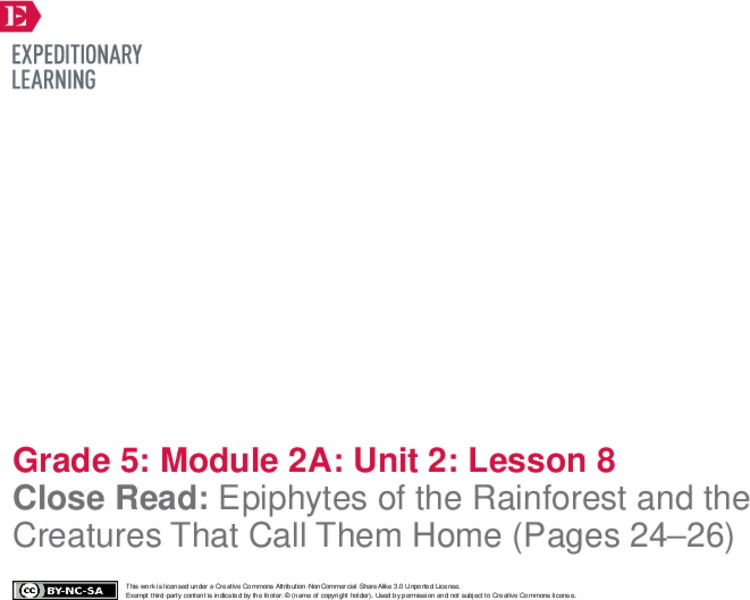 Close Read: Epiphytes of the Rainforest and the Creatures That Call Them Home (Pages 24–26) Lesson Plan