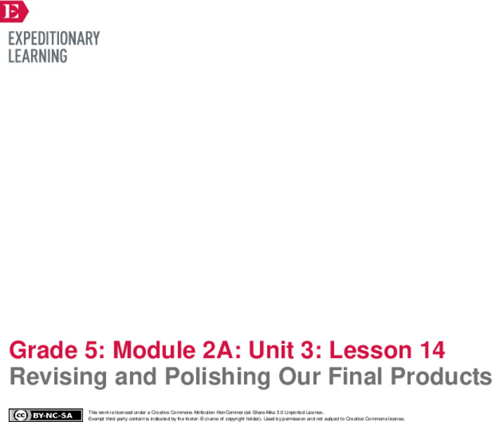 Revising and Polishing Our Final Products Lesson Plan