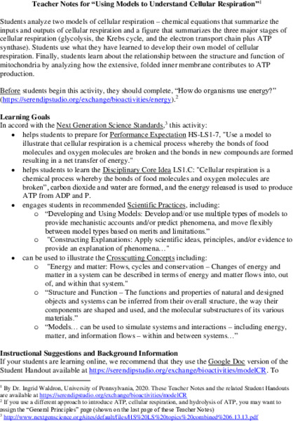 Using Models to Understand Cellular Respiration Activity