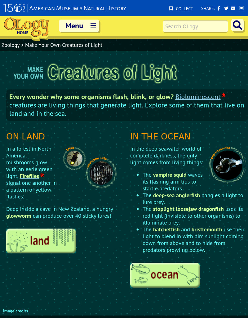 Make Your Own Creatures of Light Activity