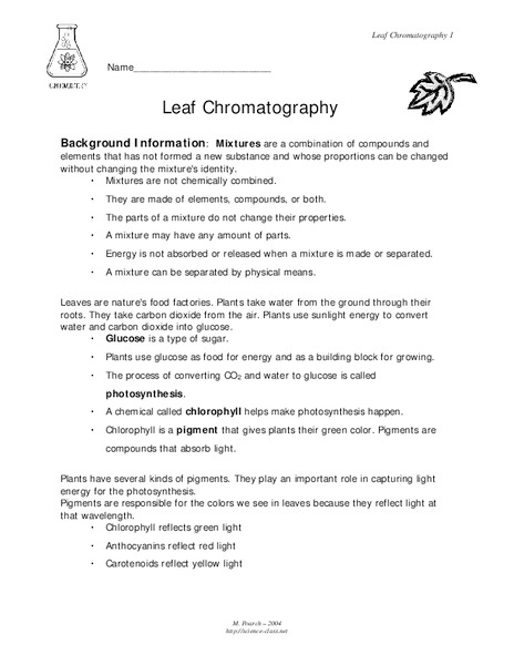 Leaf Chromatography Lesson Plan