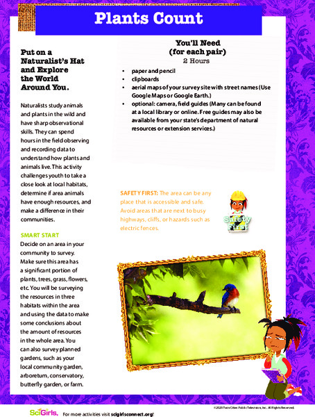 Plants Count Activity