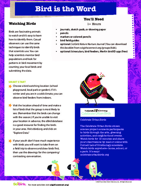 Bird is the Word Activity