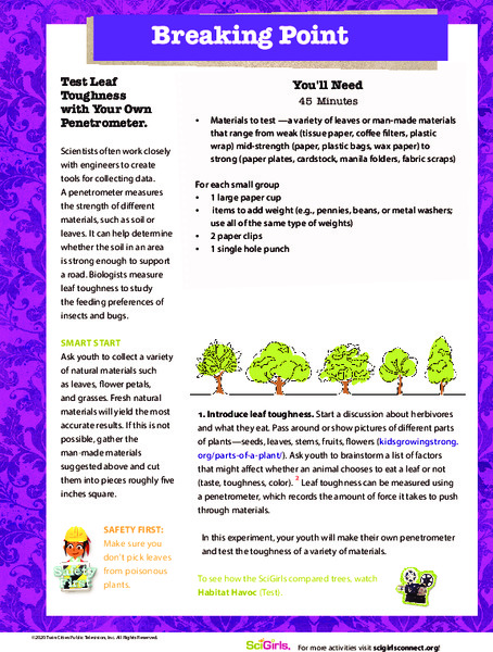 Breaking Point Activity