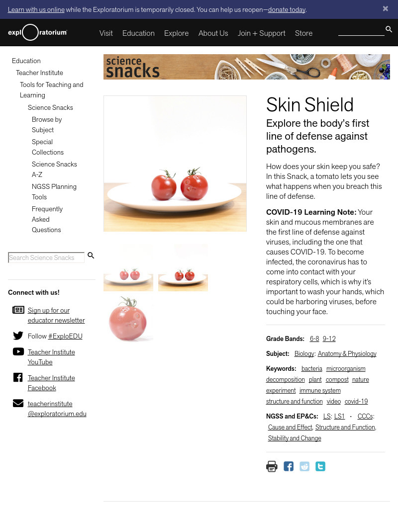 Skin Shield - Explore the Body’s First Line of Defense Against Pathogens Activity