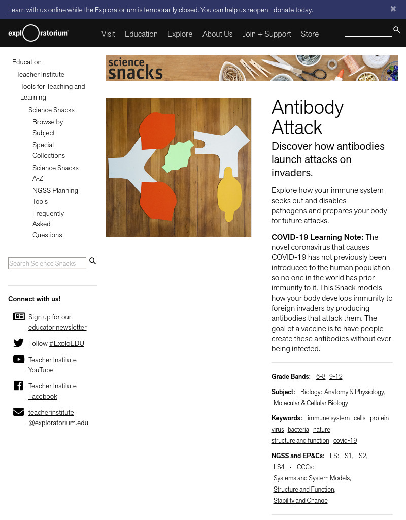 Antibody Attack - Discover How Antibodies Launch Attacks on Invaders Activity