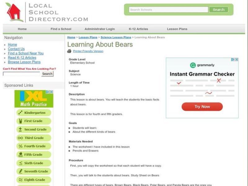 Learning About Bears Lesson Plan