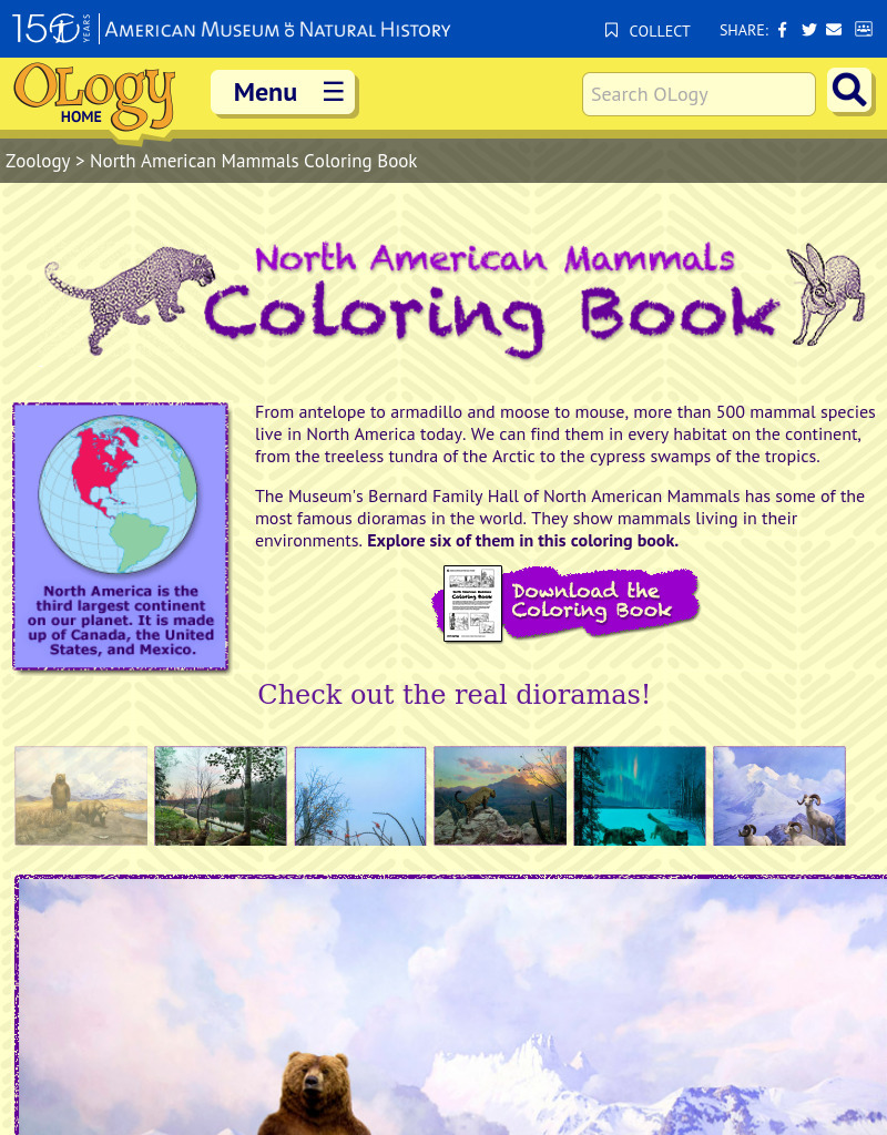 North American Mammals Coloring Book Activity