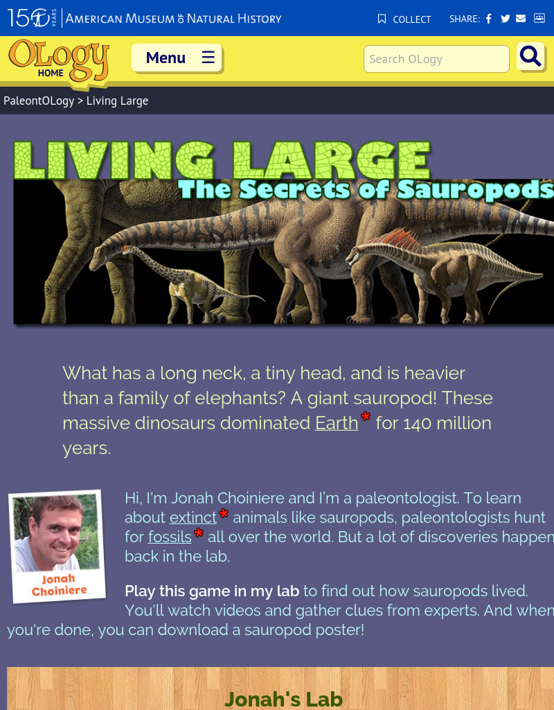 Living Large Interactive