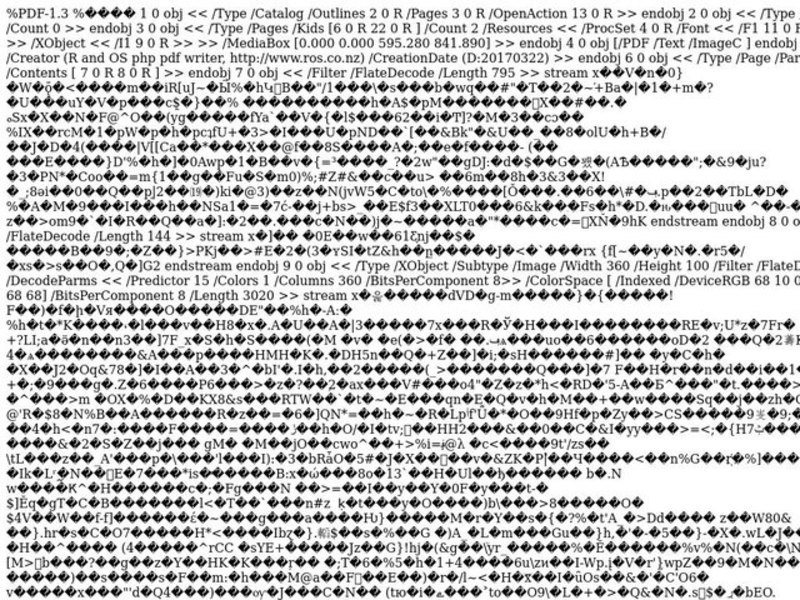 Learning About Birds Lesson Plan