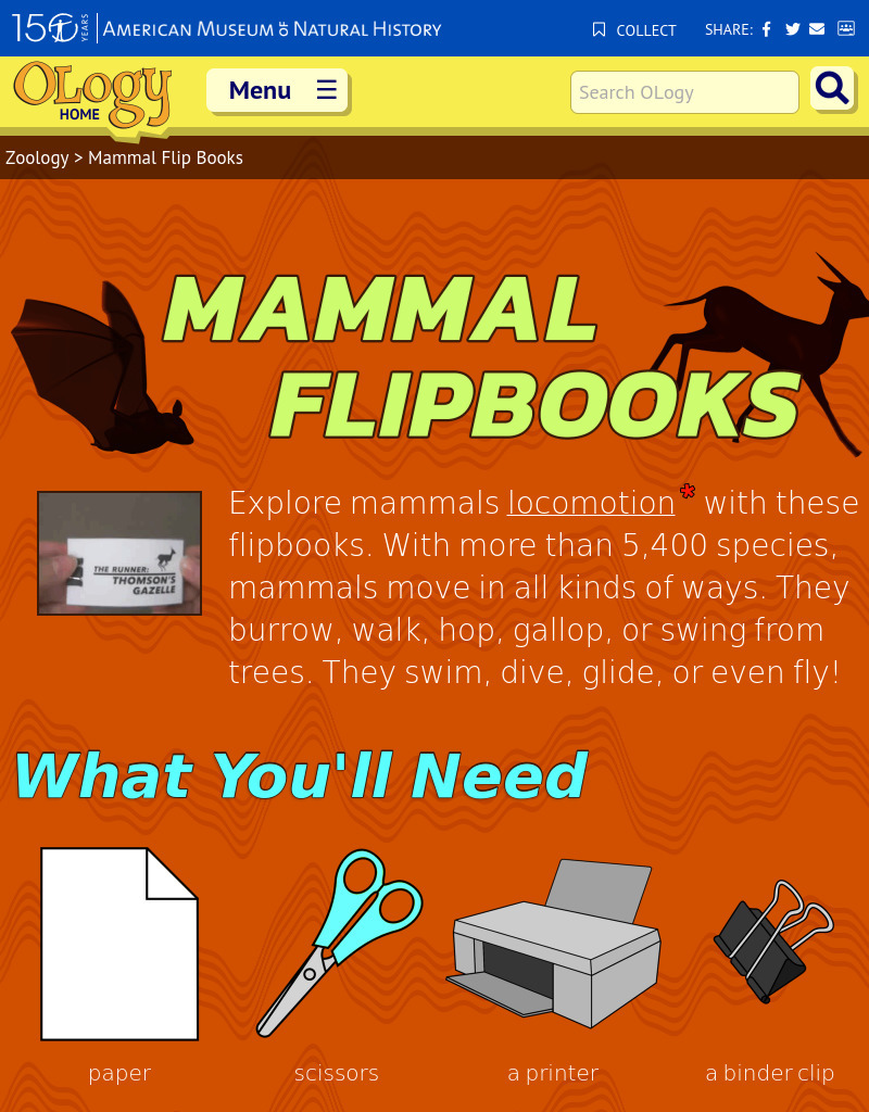 Mammal Flipbooks Activity