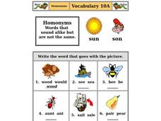 Learning about Homonyms Worksheet