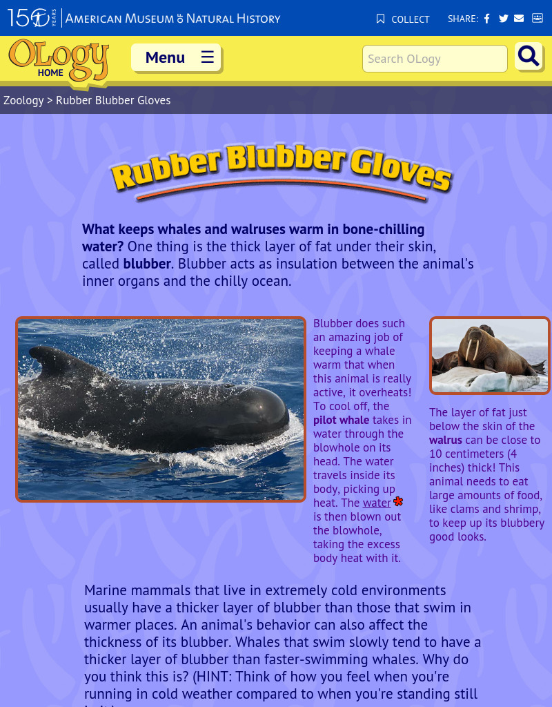 Rubber Blubber Gloves Activity