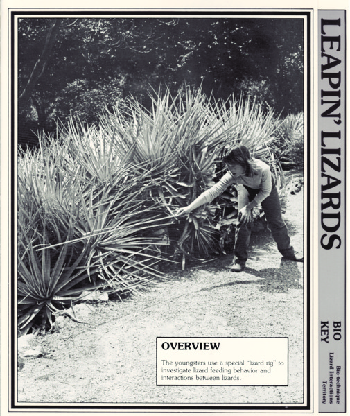 Leapin' Lizards Lesson Plan