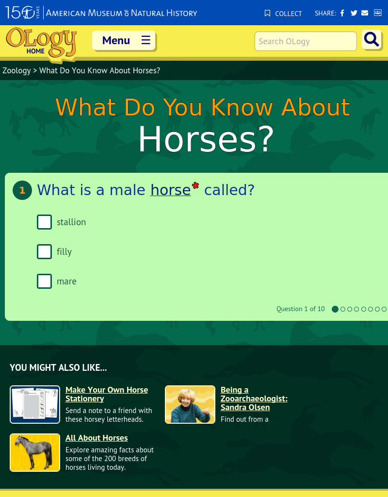 What Do You Know About Horses? Interactive
