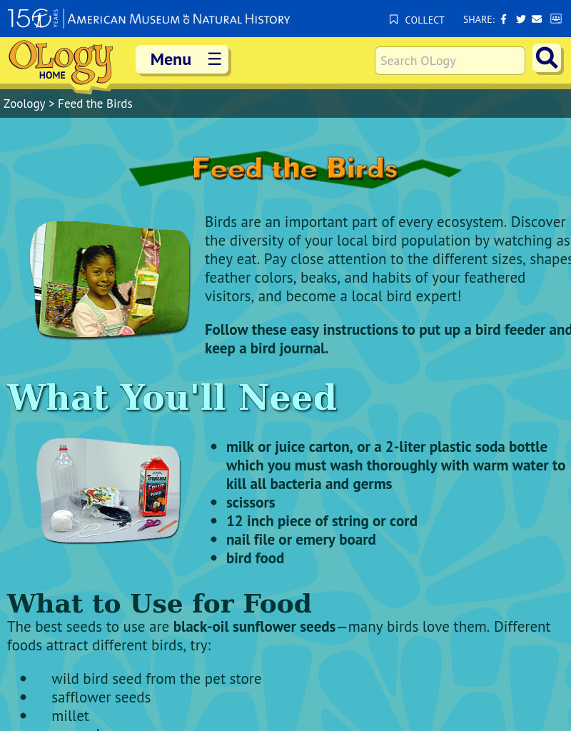 Feed the Birds Activity