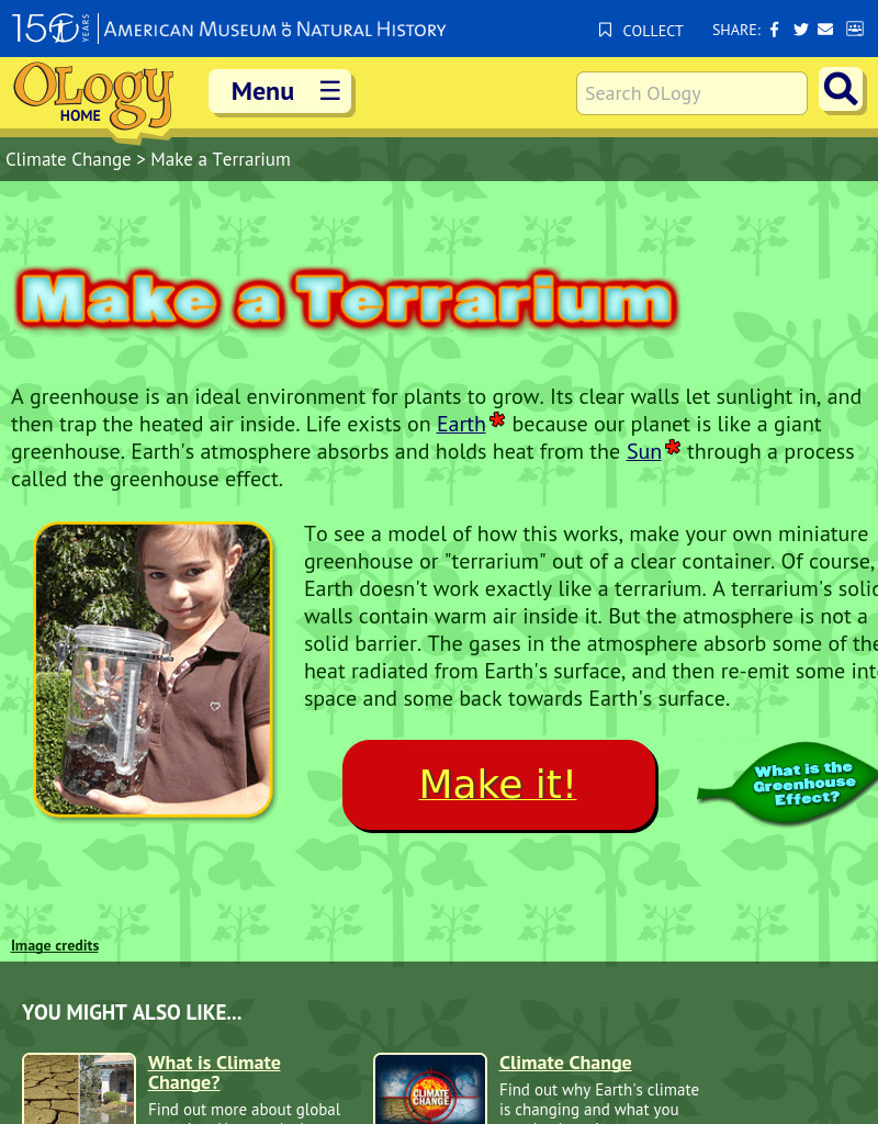 Make a Terrarium Activity