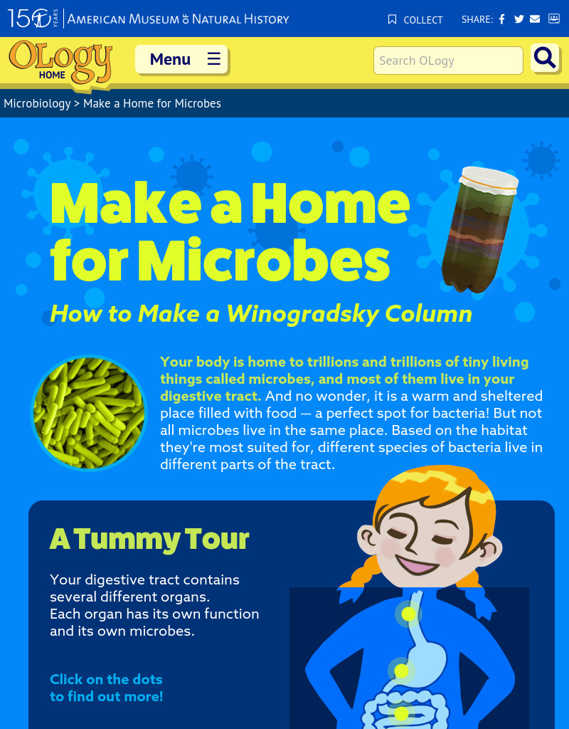 Make a Home for Microbes Activity