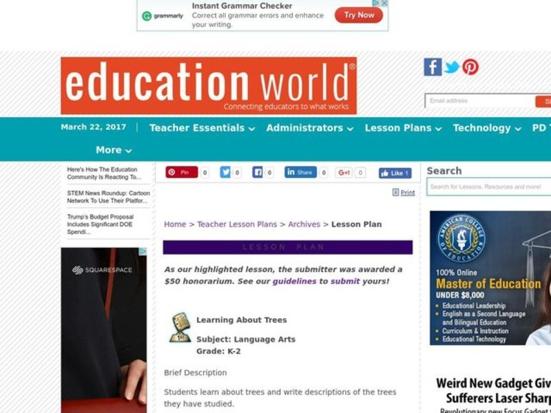 Learning About Trees Lesson Plan