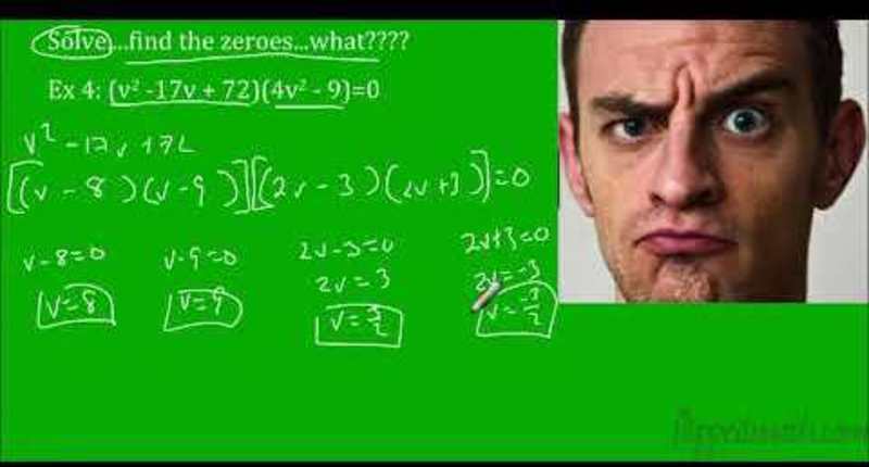 Zeroes of Polynomials Instructional Video